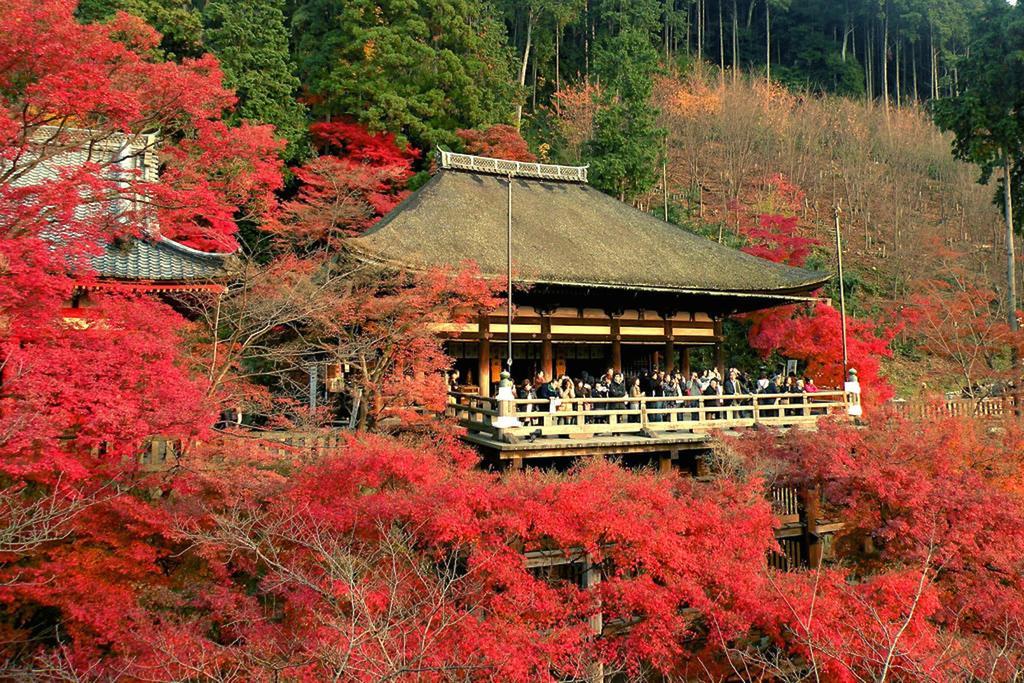Rin Kyoto Kinkaku-Ji Temple Villa Kültér fotó